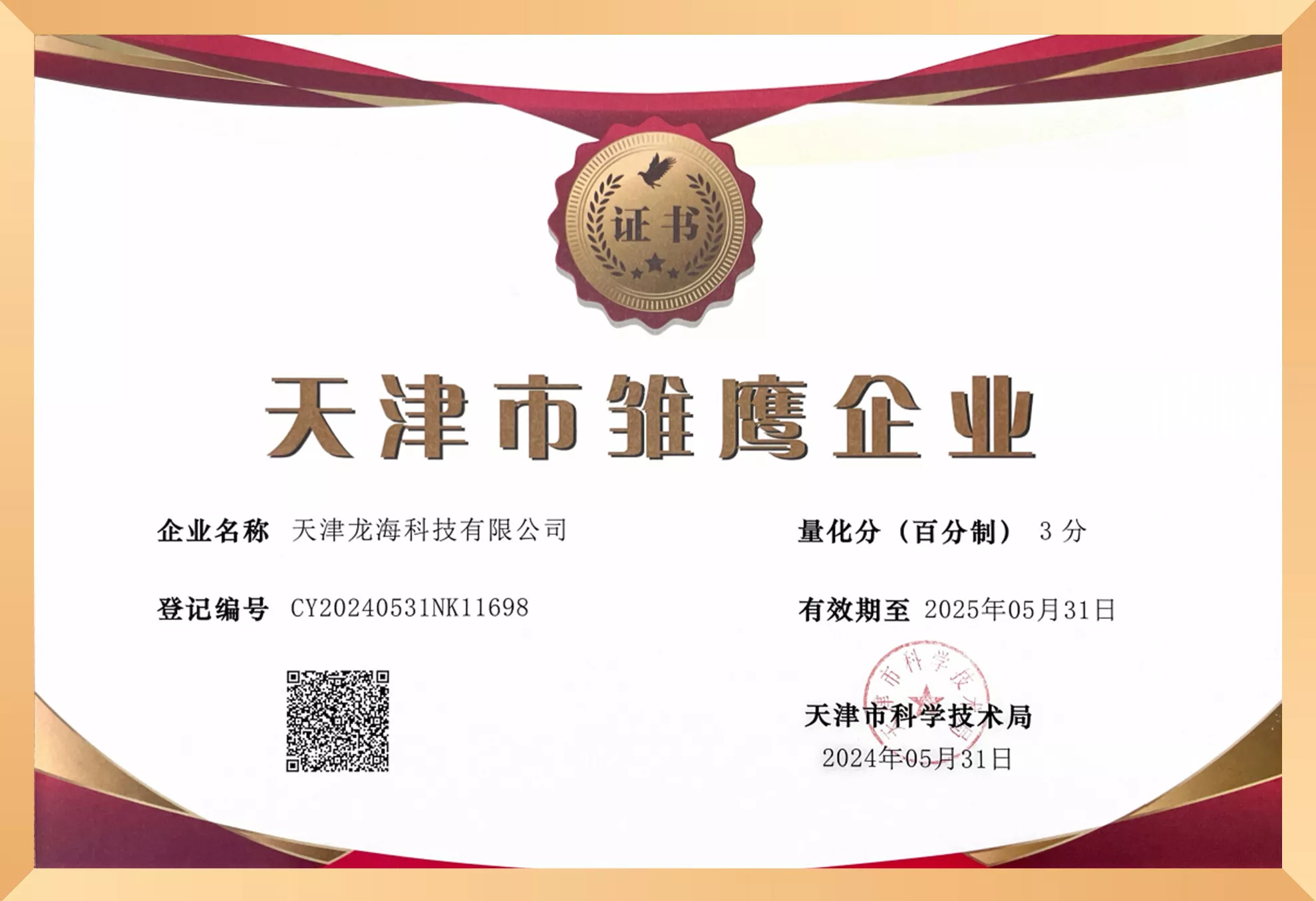 天津市雏鹰企业.jpg